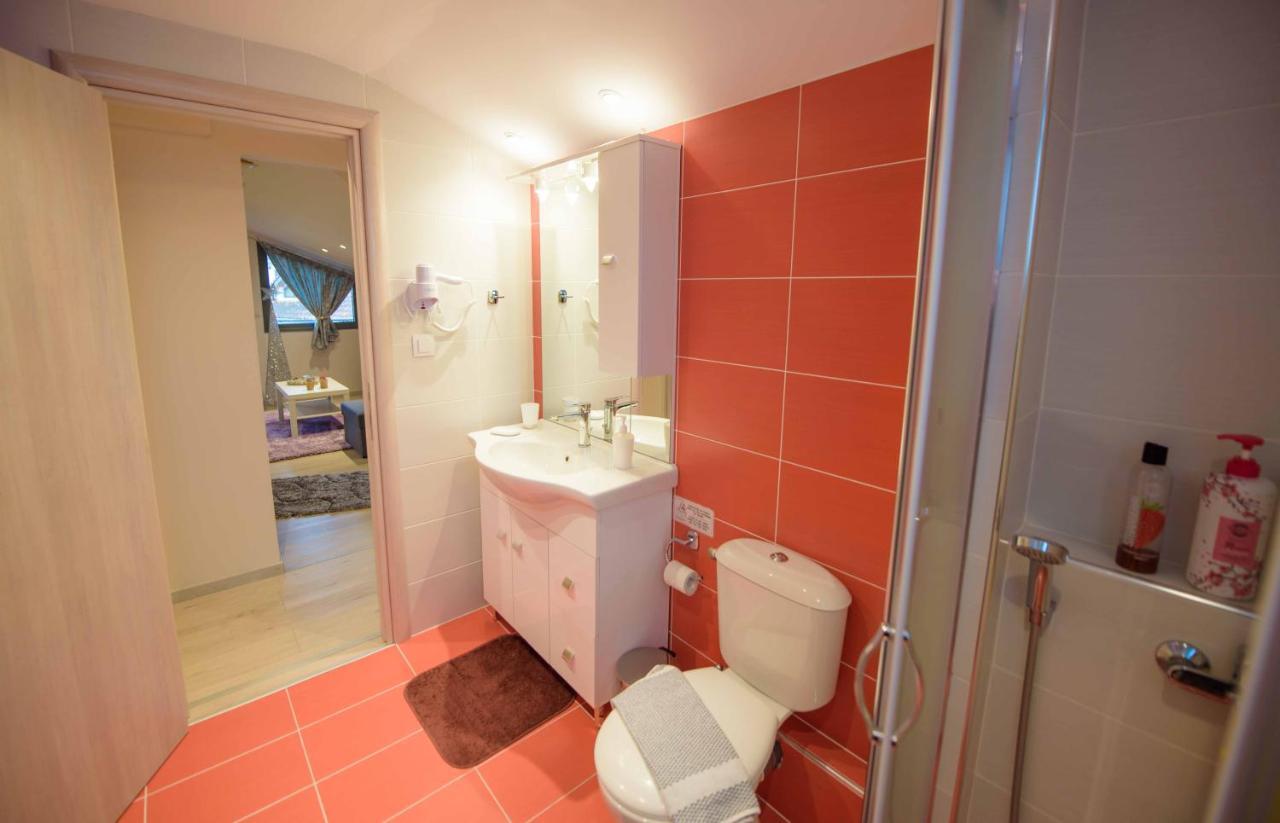 New Loft Polixeni Appartement Ioannina Buitenkant foto